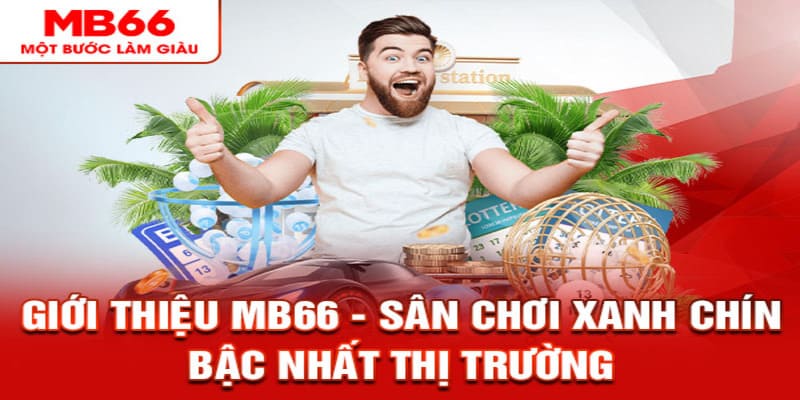 Giới thiệu tổng quan về thương hiệu MB66